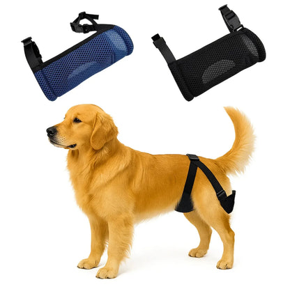 Breathable Pet Physiological Pants for Comprehensive Dog Care