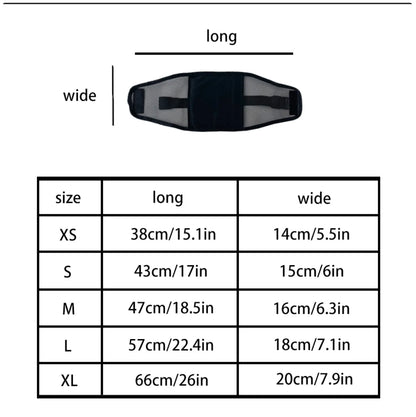 Reusable Pet Diaper for Dogs - Adjustable Mesh Sanitary Pants for Female Dogs in Heat & Incontinence