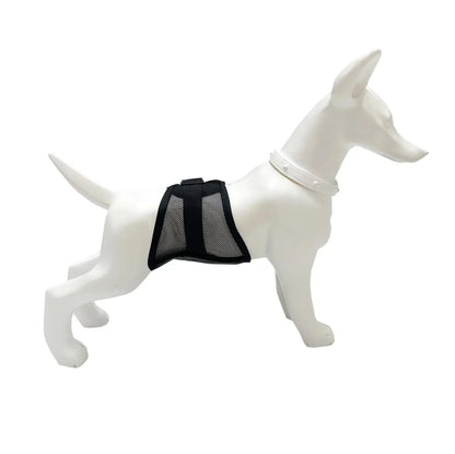 Reusable Pet Diaper for Dogs - Adjustable Mesh Sanitary Pants for Female Dogs in Heat & Incontinence