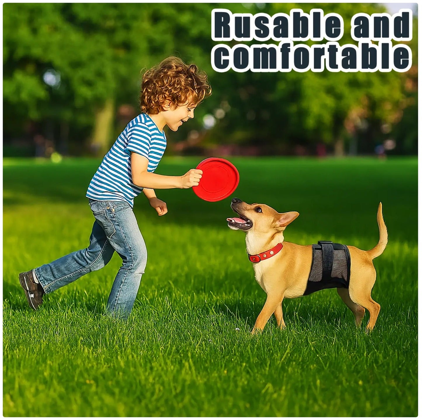 Reusable Pet Diaper for Dogs - Adjustable Mesh Sanitary Pants for Female Dogs in Heat & Incontinence