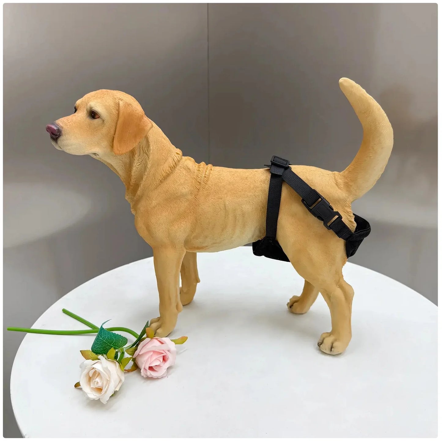 Breathable Pet Physiological Pants for Comprehensive Dog Care