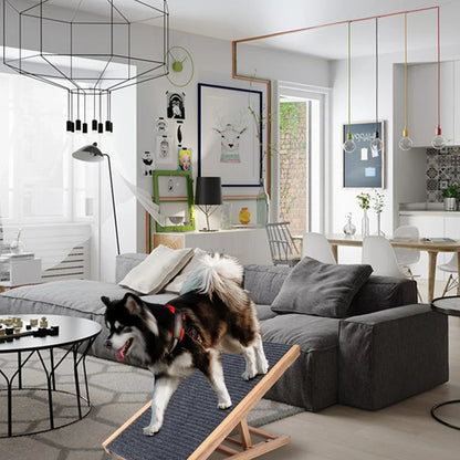 Small Dog Ramp for Couch Bed Car Folding Portable Pet Ramp for Cats Adjustable Height