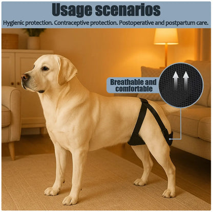 Breathable Pet Physiological Pants for Comprehensive Dog Care